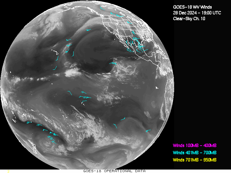 GOES-18 Clear Sky WV Channel 10 Derived Winds - Full Disk - 12/28/2024 - 1900 GMT