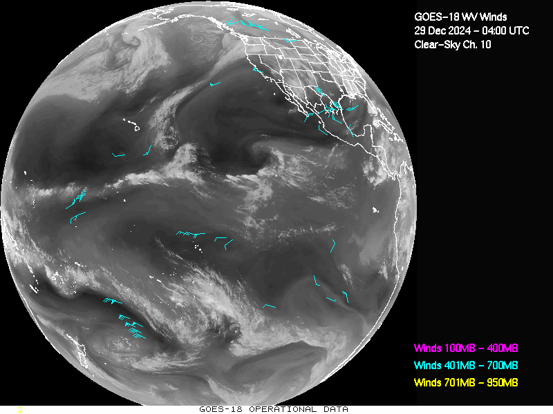 GOES-18 Clear Sky WV Channel 10 Derived Winds - Full Disk - 12/29/2024 - 0400 GMT