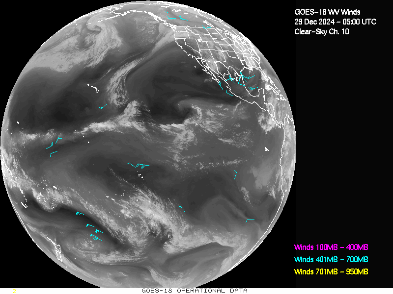 GOES-18 Clear Sky WV Channel 10 Derived Winds - Full Disk - 12/29/2024 - 0500 GMT