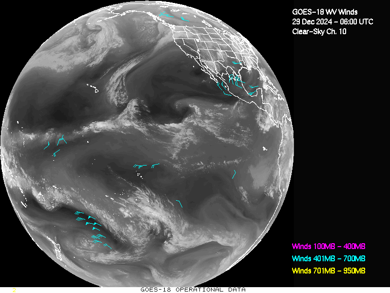 GOES-18 Clear Sky WV Channel 10 Derived Winds - Full Disk - 12/29/2024 - 0600 GMT