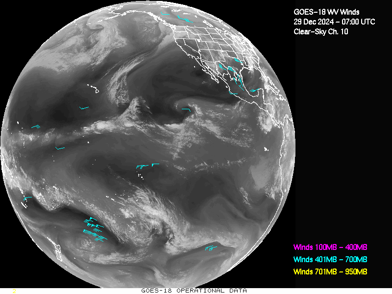 GOES-18 Clear Sky WV Channel 10 Derived Winds - Full Disk - 12/29/2024 - 0700 GMT