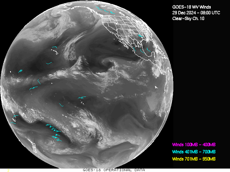 GOES-18 Clear Sky WV Channel 10 Derived Winds - Full Disk - 12/29/2024 - 0800 GMT