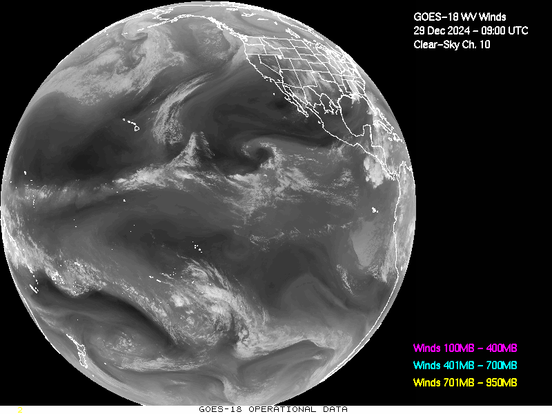 GOES-18 Clear Sky WV Channel 10 Derived Winds - Full Disk - 12/29/2024 - 0900 GMT