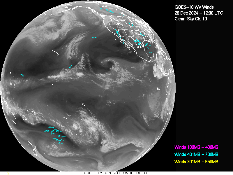 GOES-18 Clear Sky WV Channel 10 Derived Winds - Full Disk - 12/29/2024 - 1200 GMT