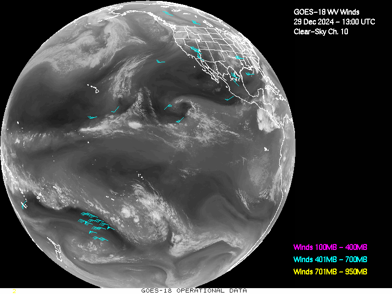 GOES-18 Clear Sky WV Channel 10 Derived Winds - Full Disk - 12/29/2024 - 1300 GMT