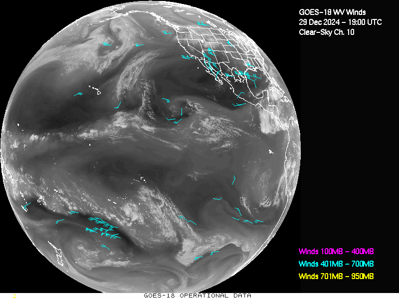 GOES-18 Clear Sky WV Channel 10 Derived Winds - Full Disk - 12/29/2024 - 1900 GMT