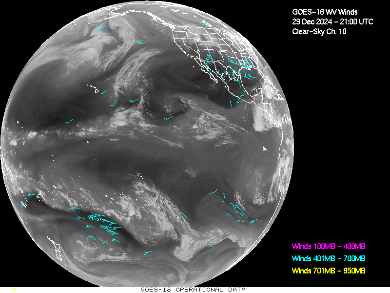 GOES-18 Clear Sky WV Channel 10 Derived Winds - Full Disk - 12/29/2024 - 2100 GMT