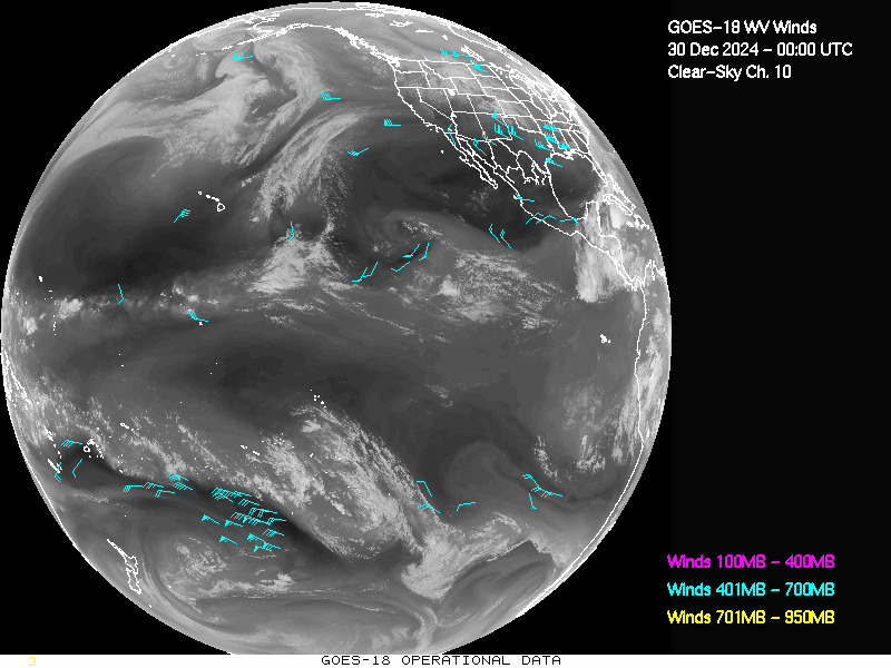 GOES-18 Clear Sky WV Channel 10 Derived Winds - Full Disk - 12/30/2024 - 0000 GMT