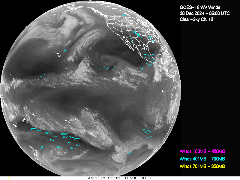 GOES-18 Clear Sky WV Channel 10 Derived Winds - Full Disk - 12/30/2024 - 0600 GMT