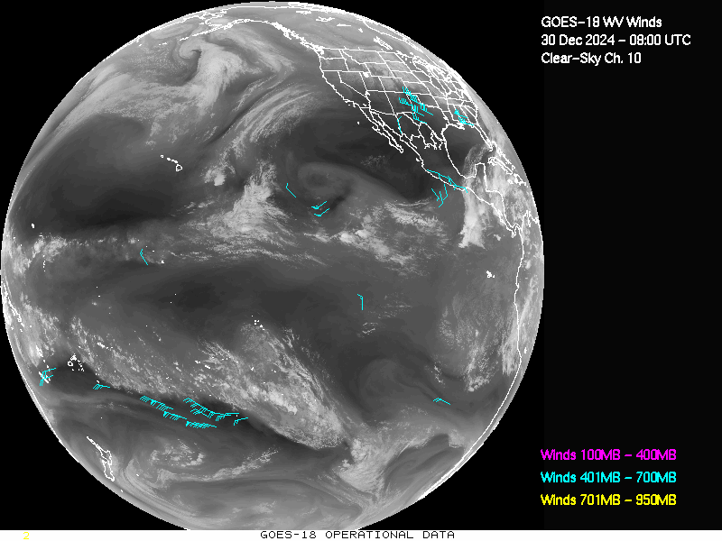 GOES-18 Clear Sky WV Channel 10 Derived Winds - Full Disk - 12/30/2024 - 0800 GMT