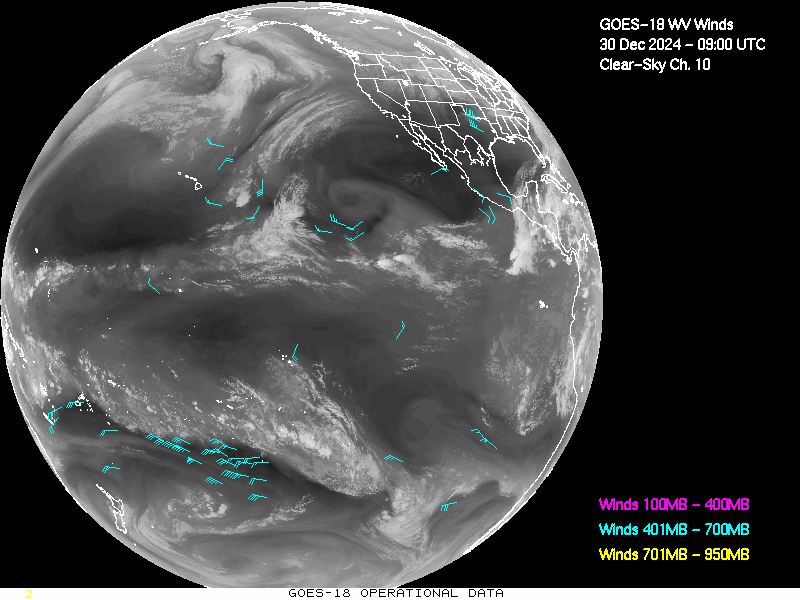 GOES-18 Clear Sky WV Channel 10 Derived Winds - Full Disk - 12/30/2024 - 0900 GMT