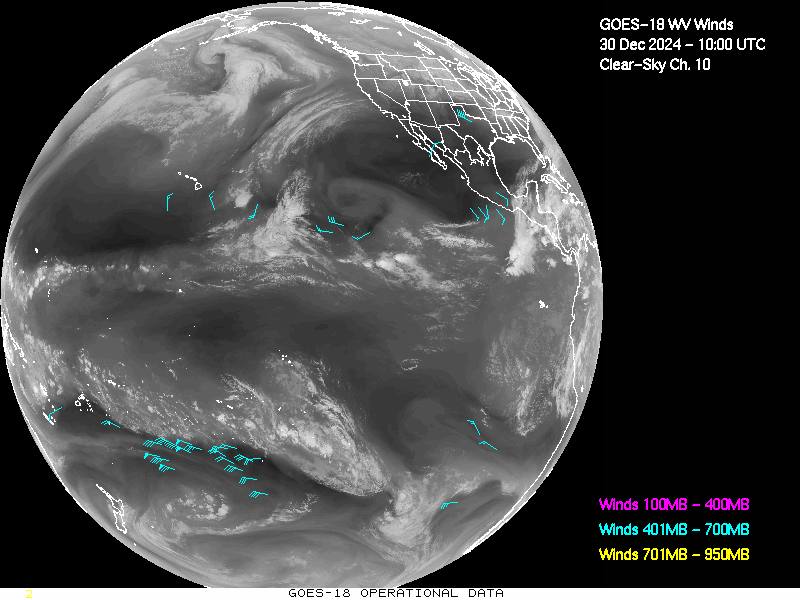 GOES-18 Clear Sky WV Channel 10 Derived Winds - Full Disk - 12/30/2024 - 1000 GMT