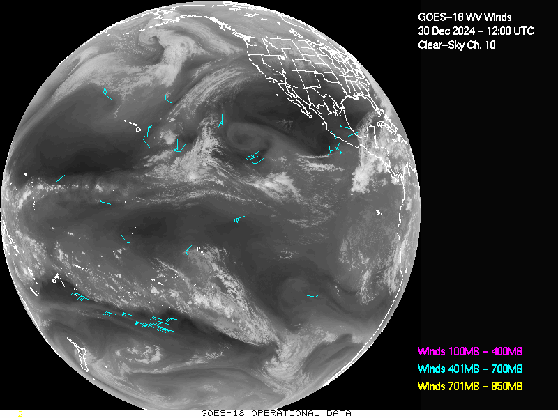 GOES-18 Clear Sky WV Channel 10 Derived Winds - Full Disk - 12/30/2024 - 1200 GMT