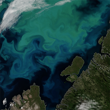 Ocean color in the Mediterranean as seen by NOAA-20 VIIRS satellite