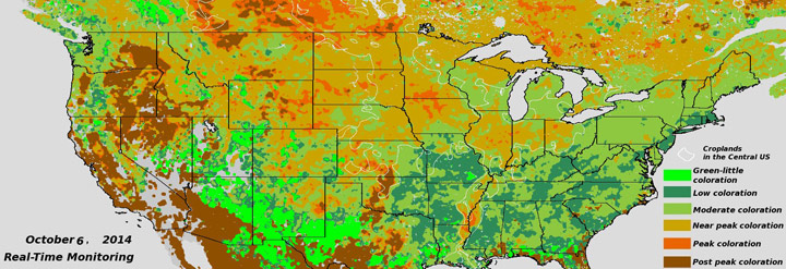 Near Real Time VIIRS NDVI Vegetation Index - Fall Foliage - click to enlarge