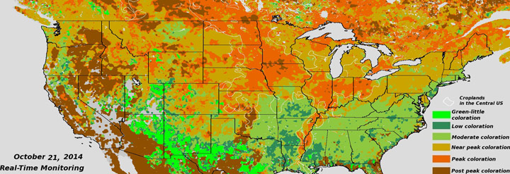 Near Real Time VIIRS NDVI Vegetation Index - Fall Foliage - click to enlarge
